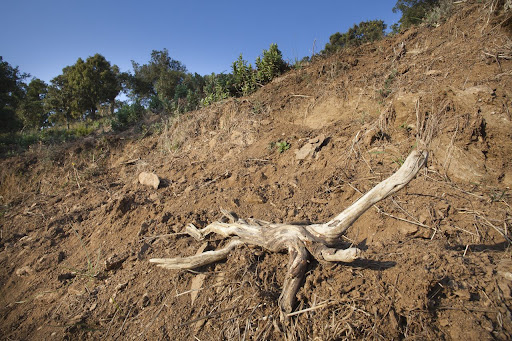 Habitat Degradation